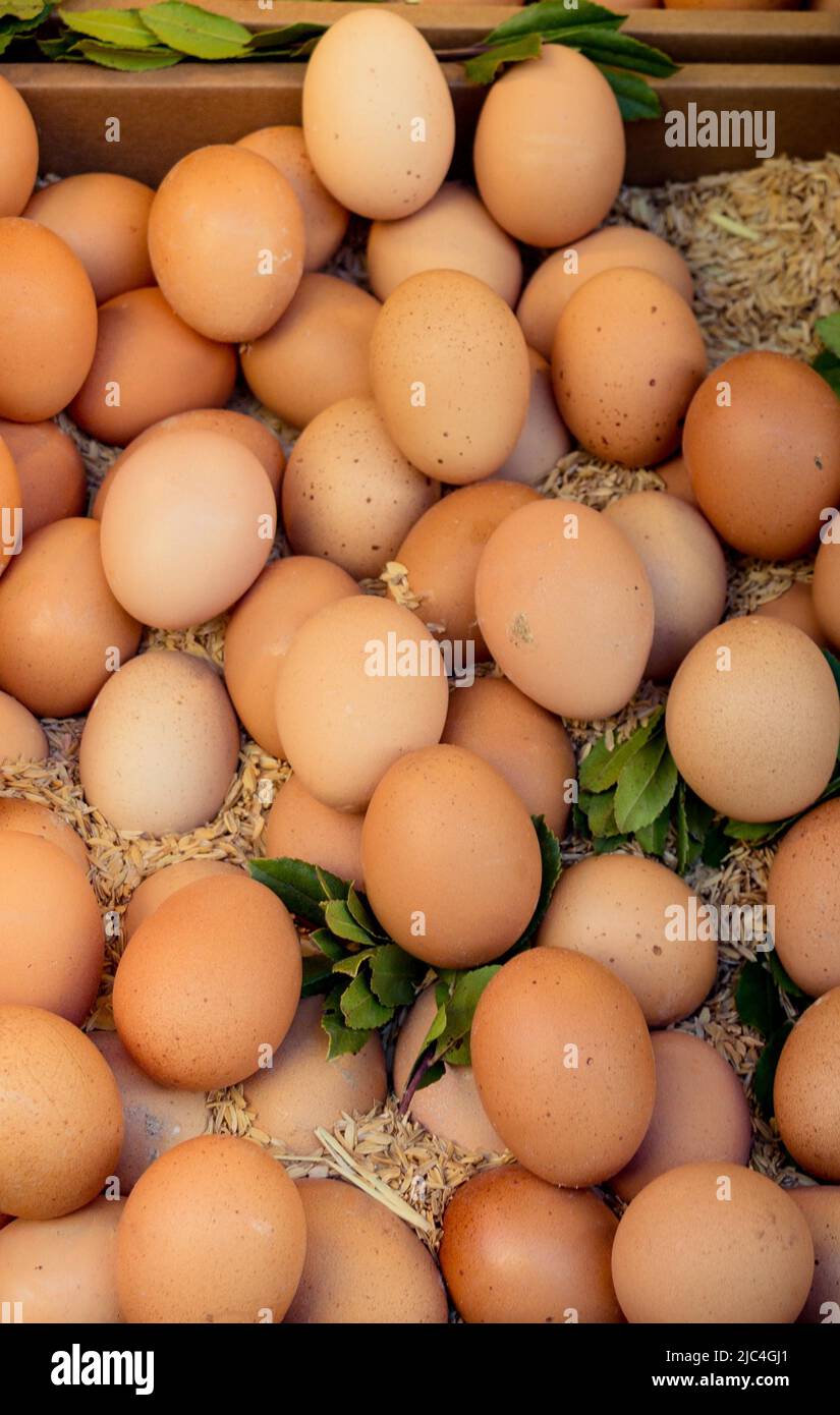Organic fresh farm eggs at the market place Stock Photo Alamy