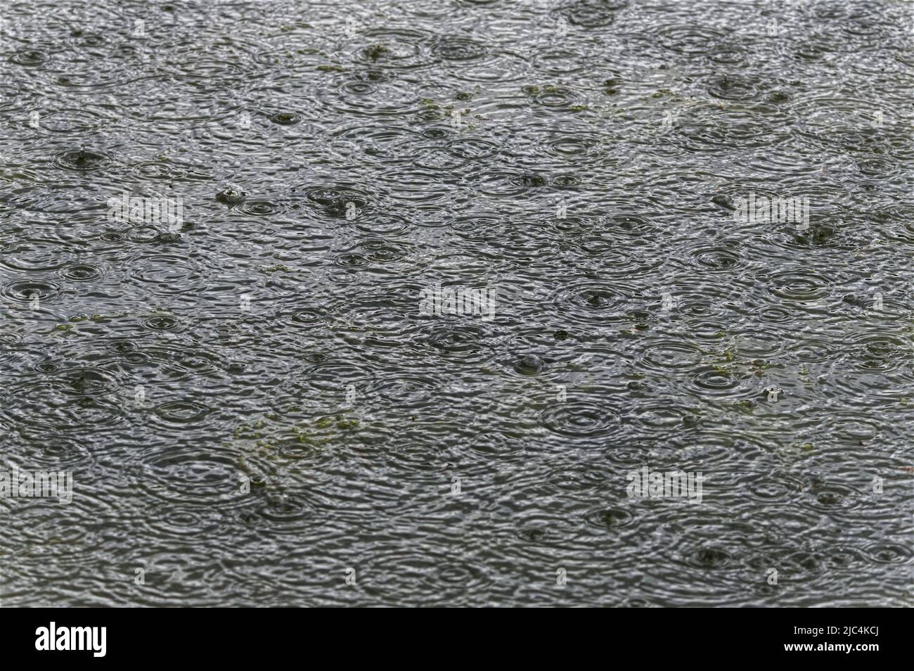 raindrop pattern and shapes on water Stock Photo