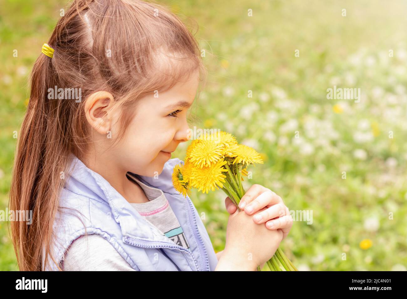 Cute little girl with yellow dandelions on a sunny day on a green ...