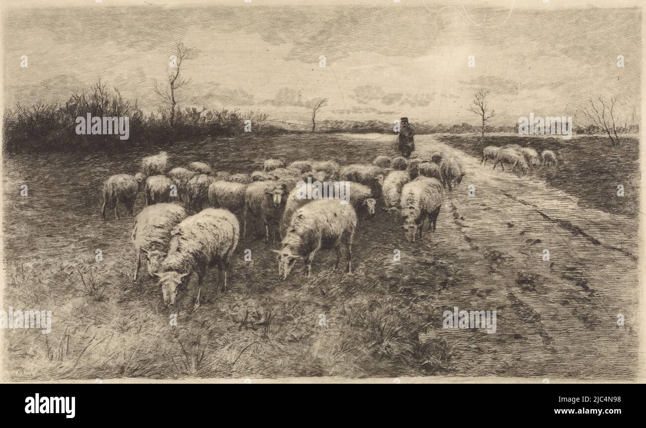 SHEPHERD FLOCK OF SHEEP ANTIQUE ENGRAVING SHEPHERD 