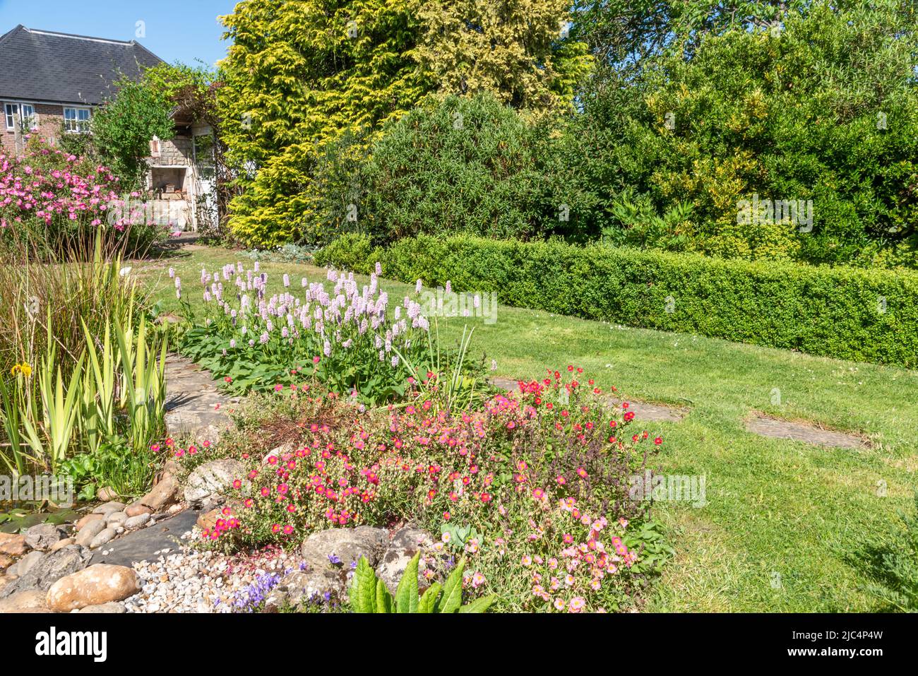 Part of a garden with shrubs, box hedge, and rockery Stock Photo - Alamy