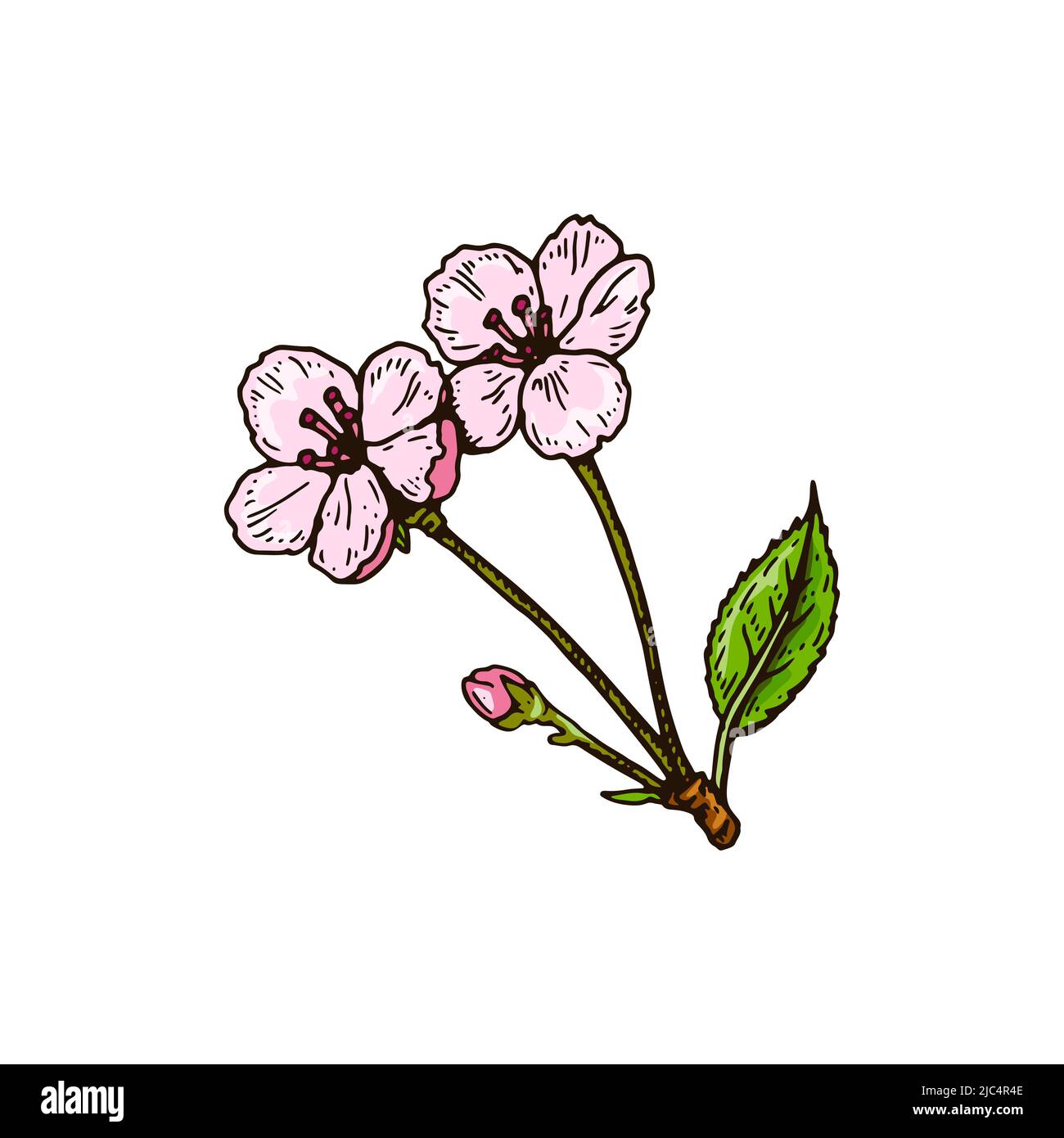 Flower Tree Drawing Silhouette Illustration @ Silhouette.pics