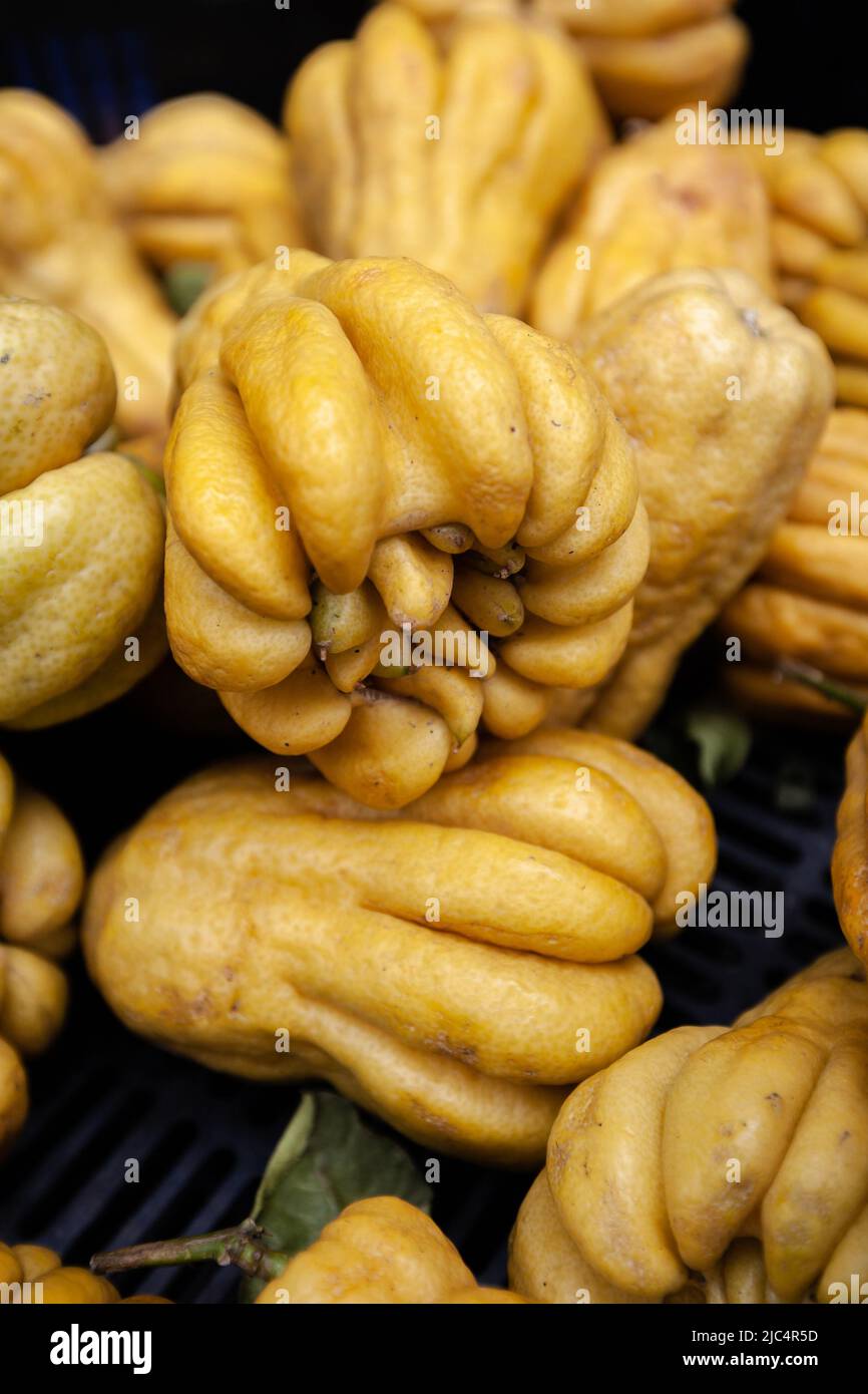 A range of different Buddha Fruit with bokeh in Hong Kong market Stock
