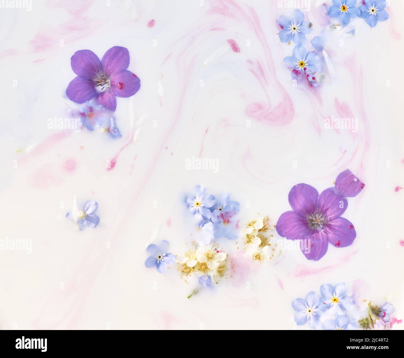 Wildflowers in milky water with paint streaks. Purple and blue. Abstraction, background image. Tenderness and weightlessness. Stock Photo