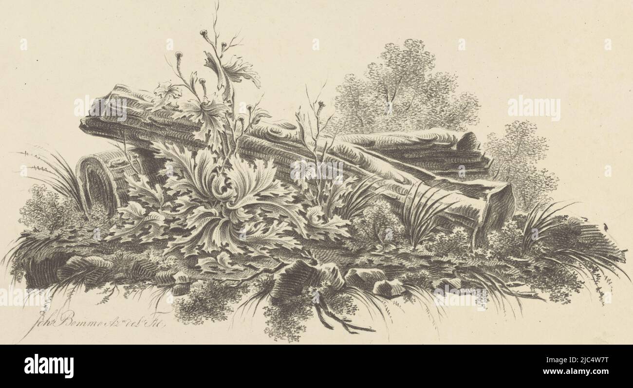 The trunks of the tree are superimposed. In front of it grows a plant with large leaves and buds., Two tree trunks, print maker: Joannes Bemme, (mentioned on object), Netherlands, 1809 - 1841, paper, h 423 mm × w 522 mm Stock Photo