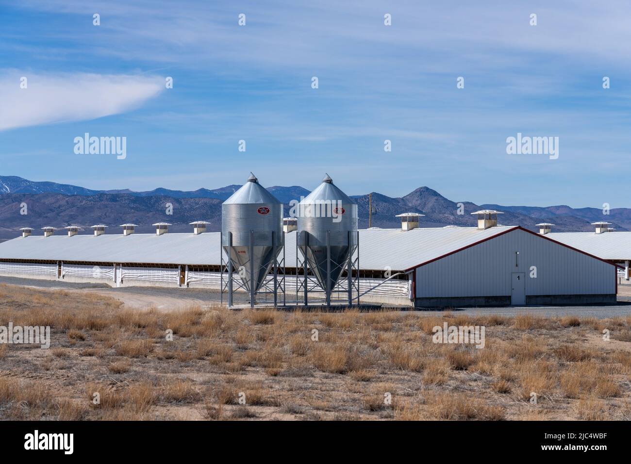 Smithfield foods farm hires stock photography and images Alamy