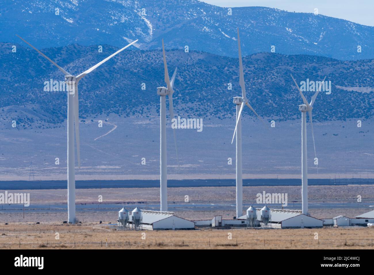 Two sources of renewable energy wind & biogas the Milford Wind farm