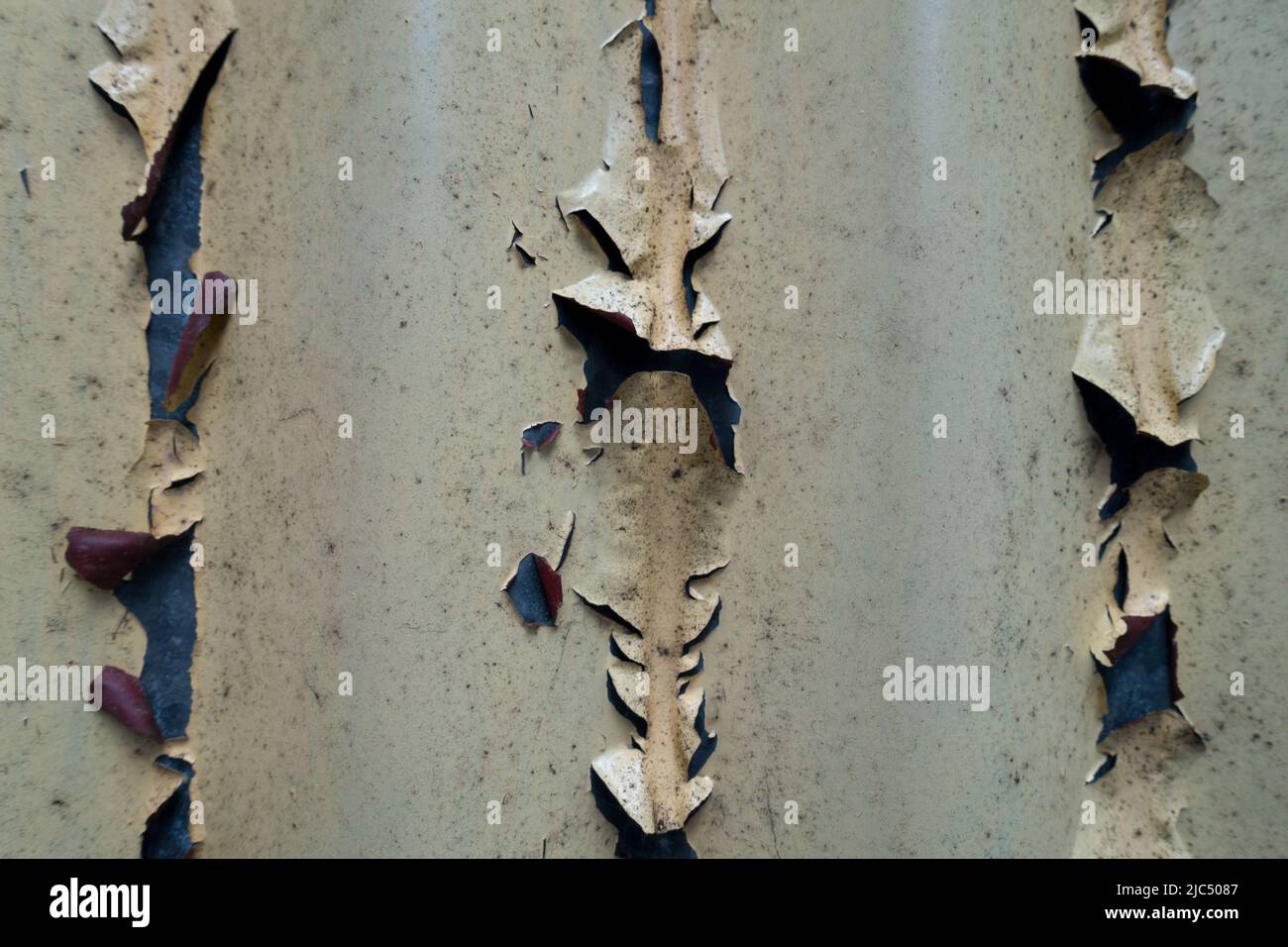 A closeup shot of paint coming off in peeled form from a metal sheet