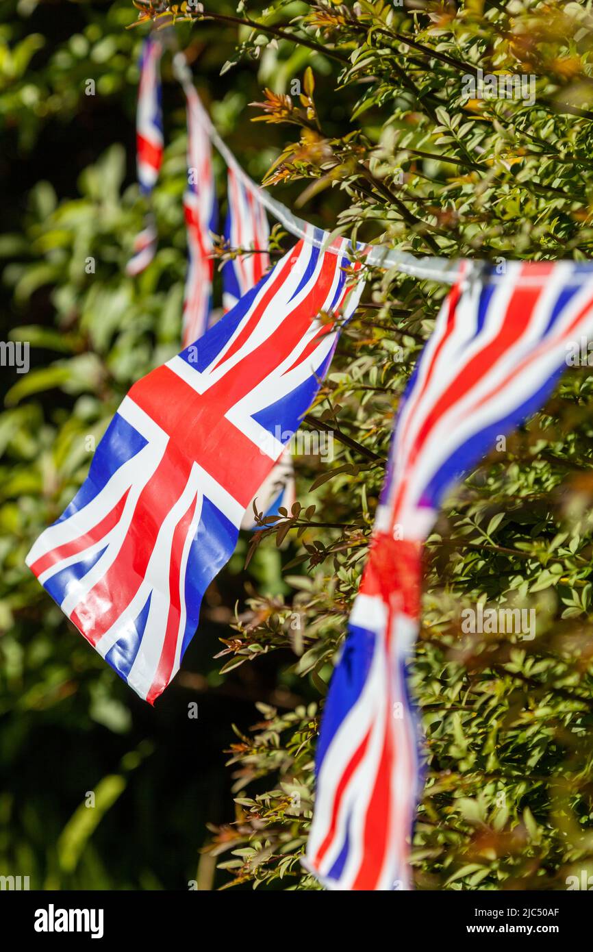 Union jack bunting in a garden Stock Photo Alamy