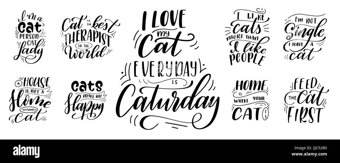 Bundle of Kitten lettering quotes for design. Pet phrase on white ...