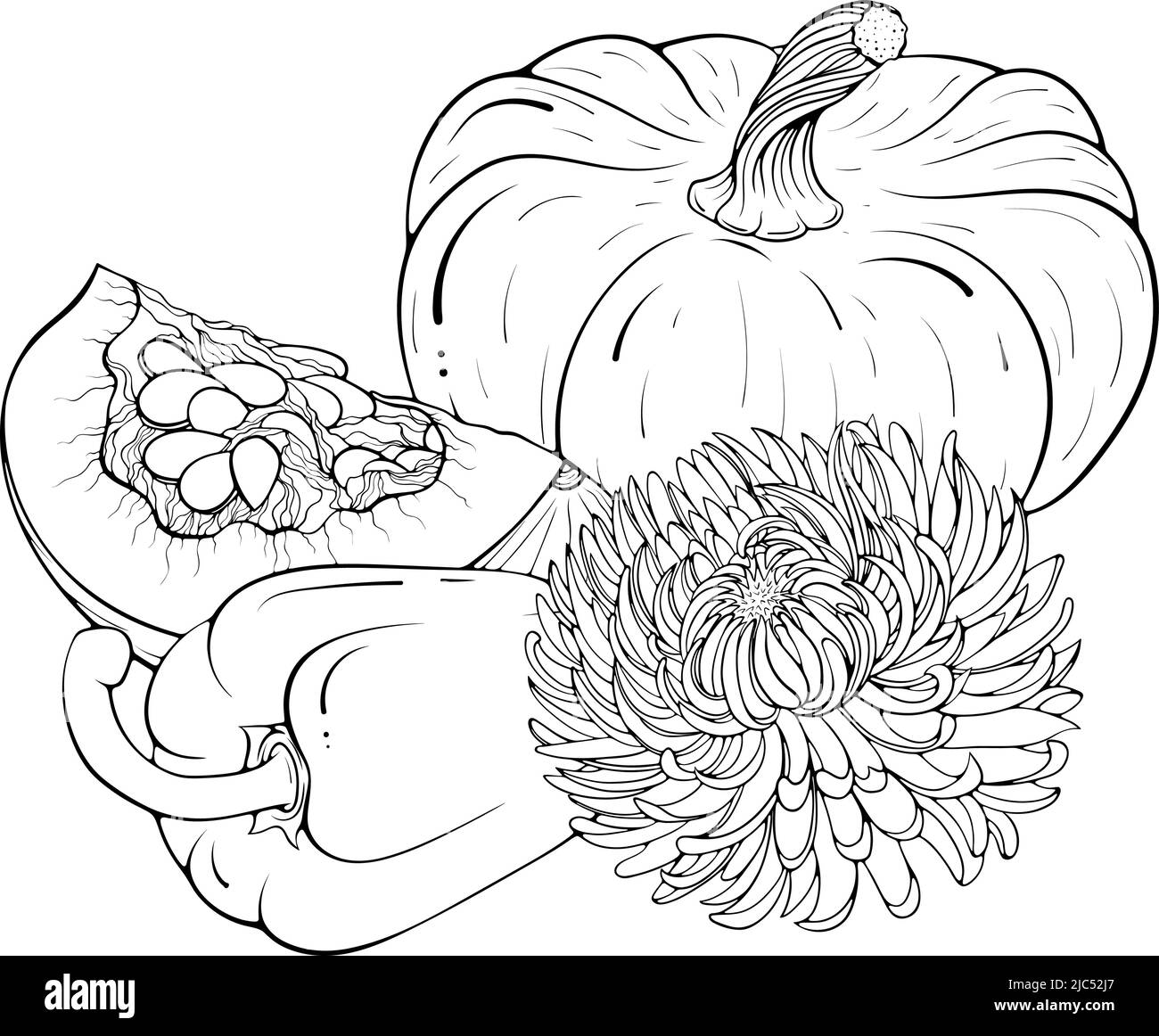 Still life with paprika, flower and pumpkin line art Stock Vector