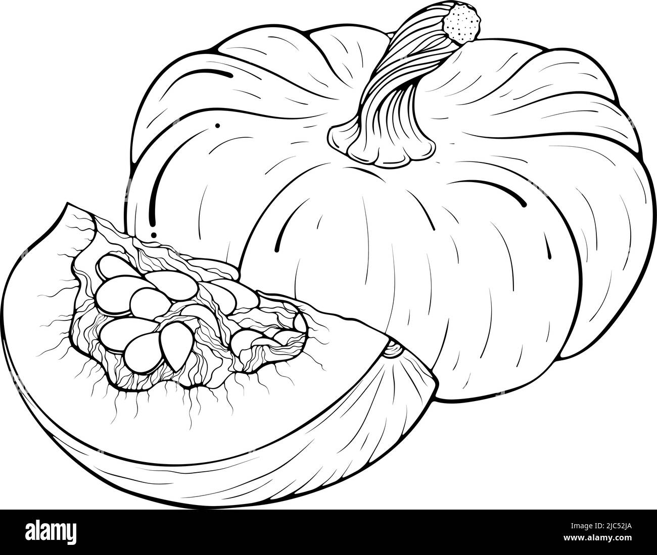 Still Life with whole and quarter of a pumpkin line art Stock Vector