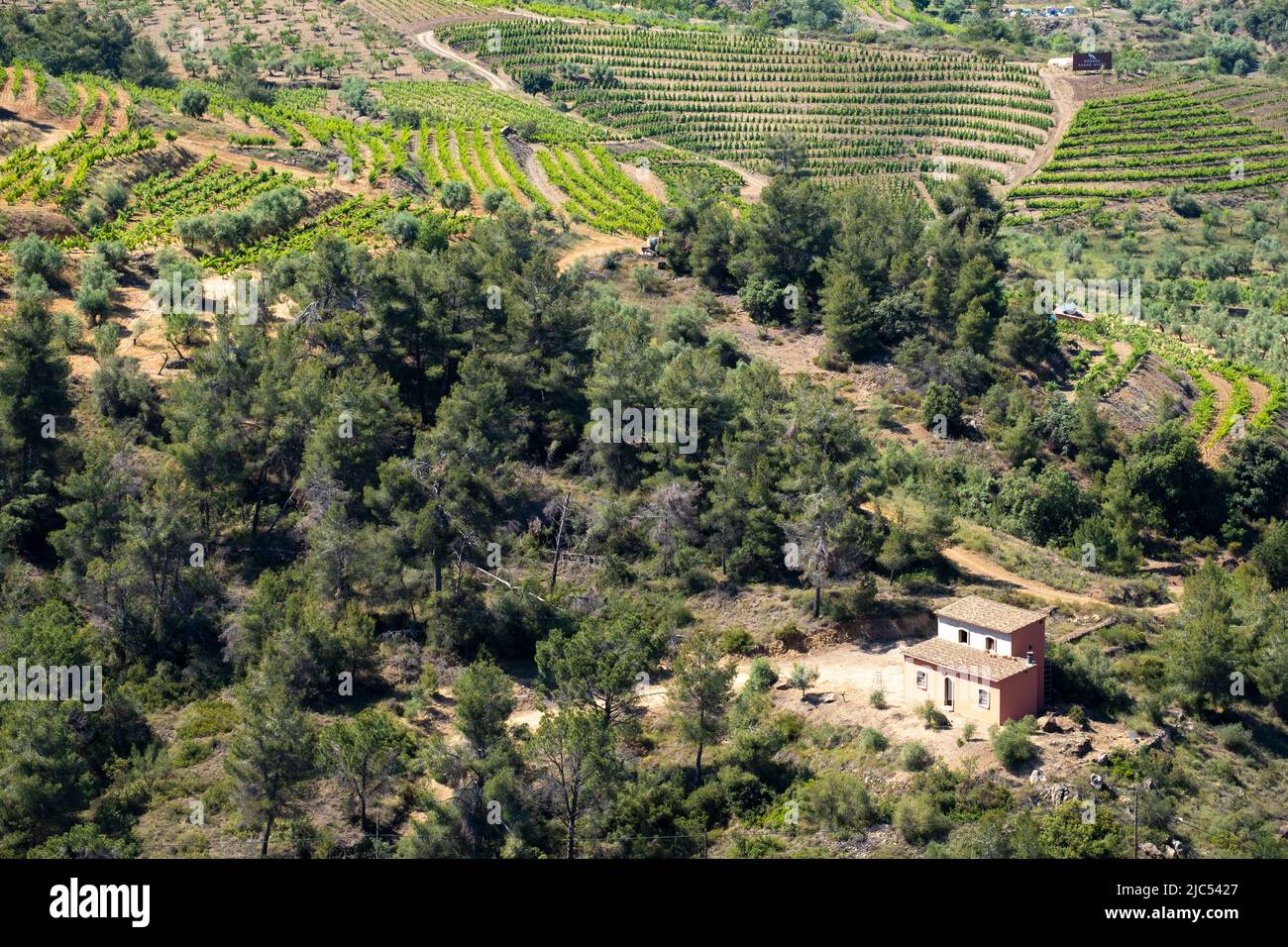 landscape of vineyards in the Priorat wine region in Tarragona in Spain