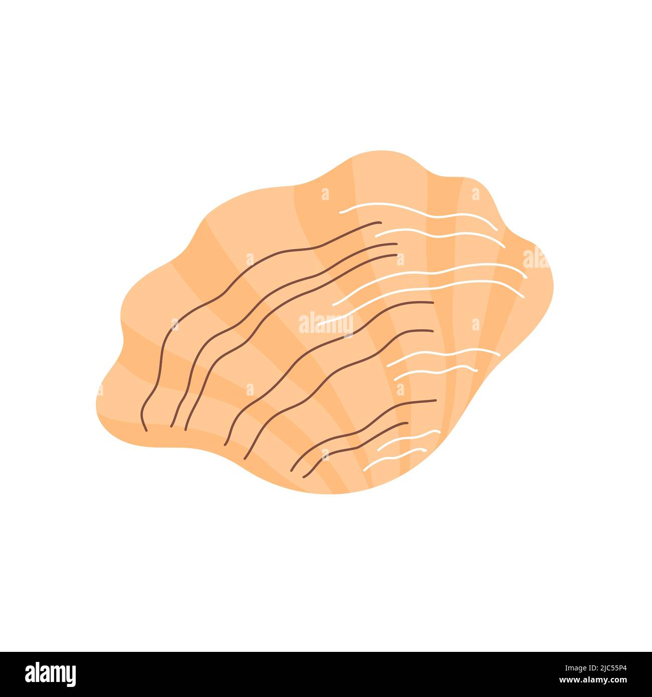 Snail sea shell. Marine underwater twisted seashell. Spiral shape