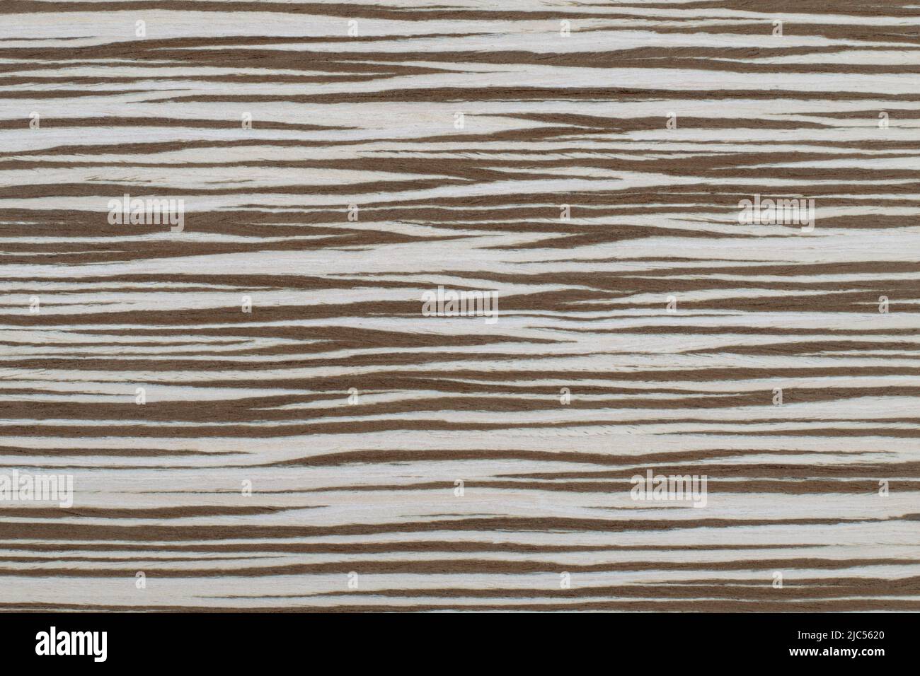 Zebrano 9 Exotic wood panel texture pattern Stock Photo