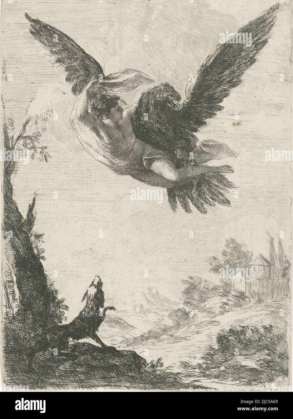 Ganymede is carried off to Olympus by Jupiter, who has taken the form of an eagle. Ganymede's dog looks up, Jupiter abducts Ganymede, print maker: Jan Miel, (mentioned on object), Rome, 1633 - 1658, paper, etching, h 192 mm × w 138 mm Stock Photo