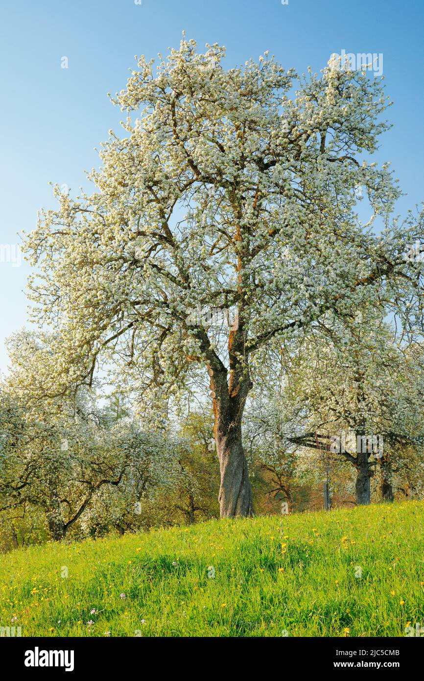 Agrarian life hires stock photography and images Alamy