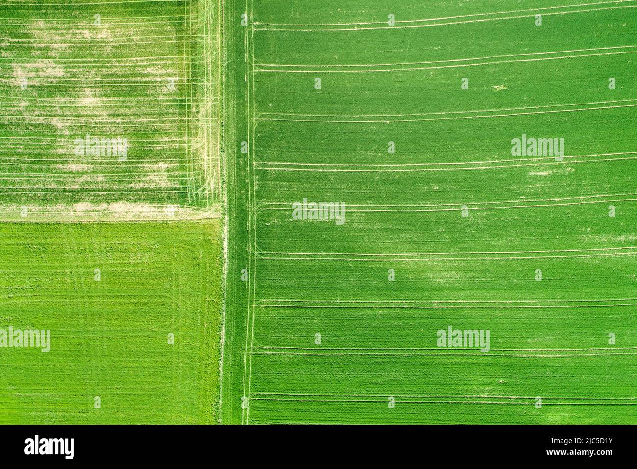 Luftuafnahme grüner Agrarlandschaft im Frühling, Zücher Oberland, Schweiz *** Local Caption ***  Agrarian, agrarian scenery, cultivation, drone admiss Stock Photo