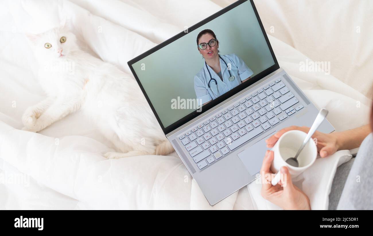 Unrecognizable girl watching a video with medical advice on a laptop. A  woman conducts an online conversation with a doctor on a webcam. The cat  lies Stock Photo - Alamy