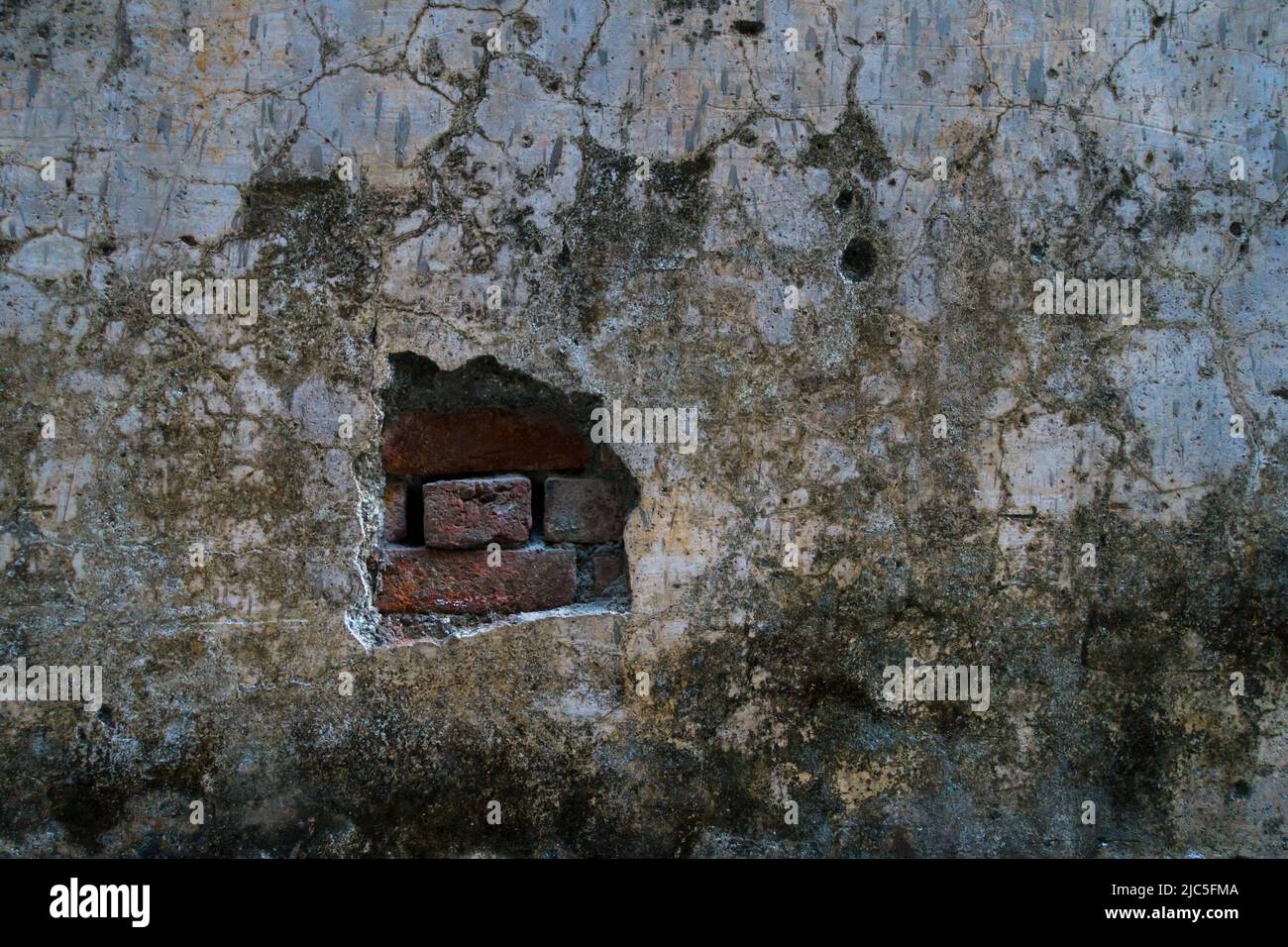 A close up shot of a damaged concrete wall with bricks exposed. India