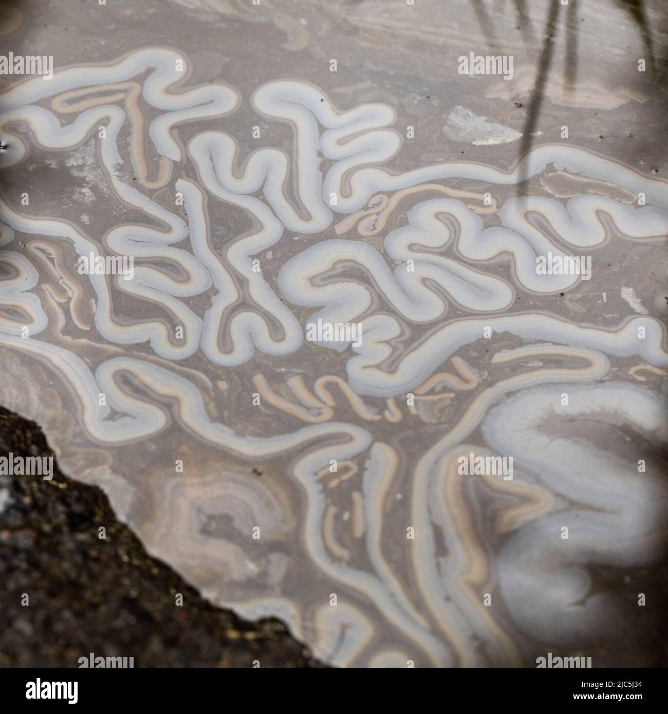 Oil pattern in water hi-res stock photography and images - Alamy