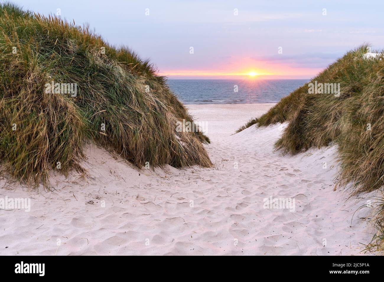 Dunes on the beach during sunset in Denmark Stock Photo