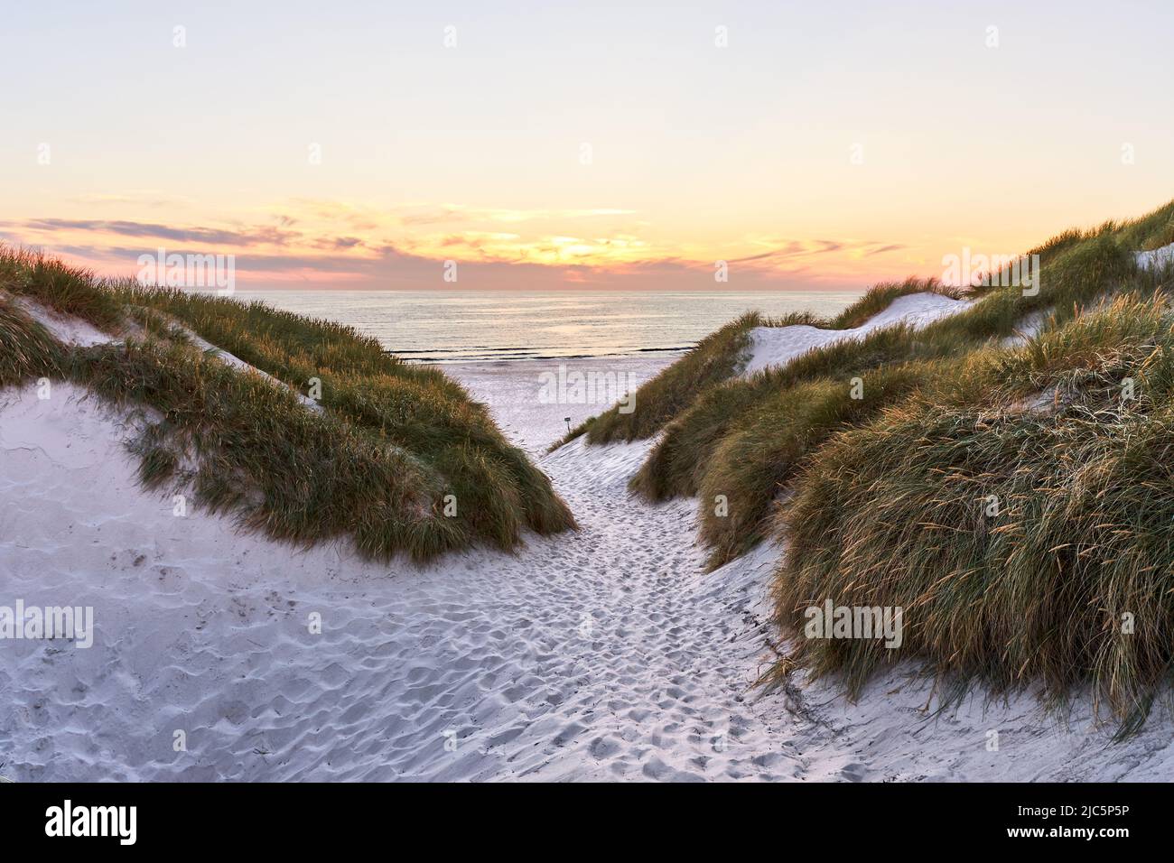 Sunset over the beach with dunes in the foreground in Denmark Stock Photo