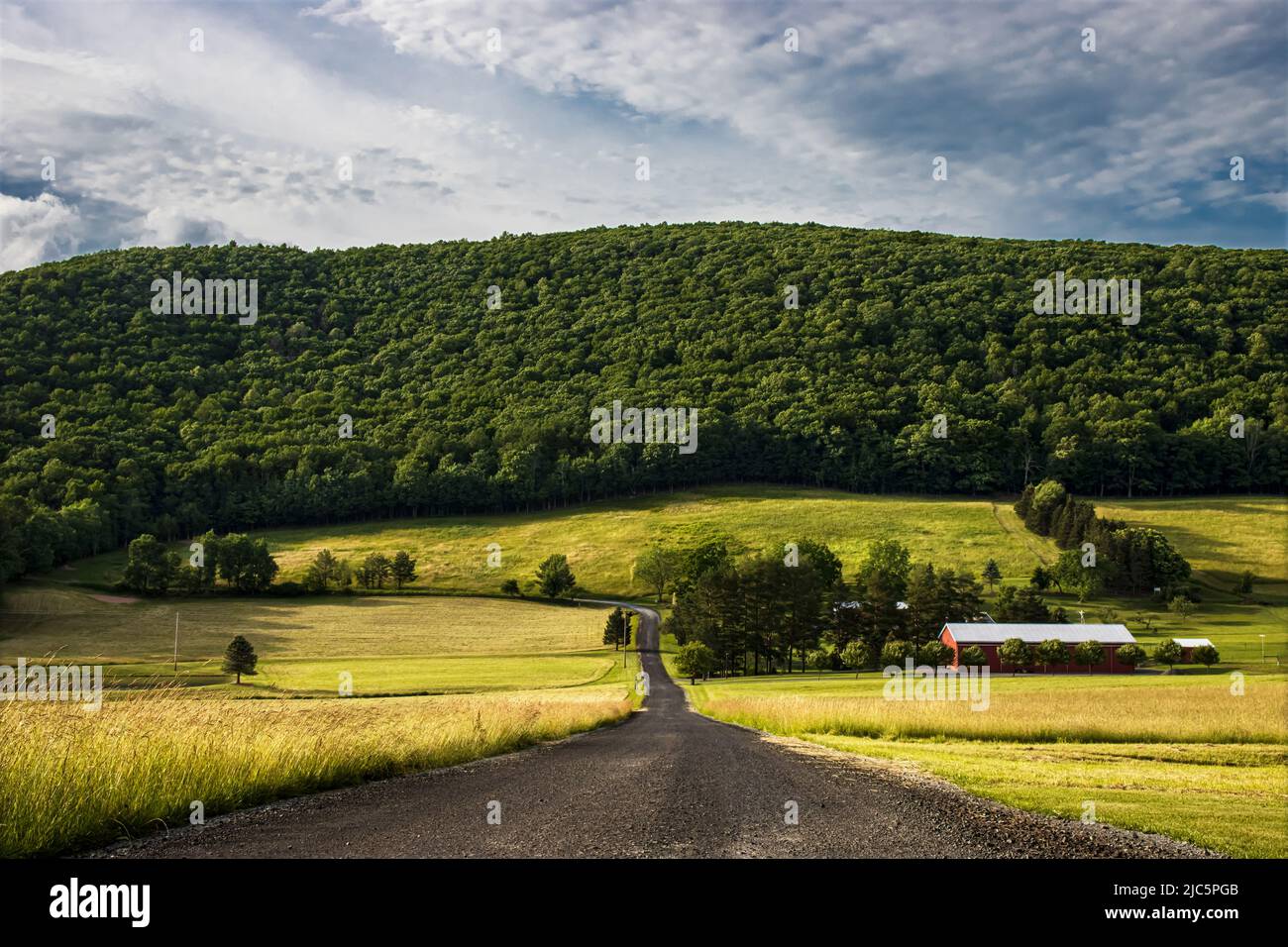 A back country road stretching down the center with grassy fields on either side and a lush green hill in the background under a blue sky above Stock Photo