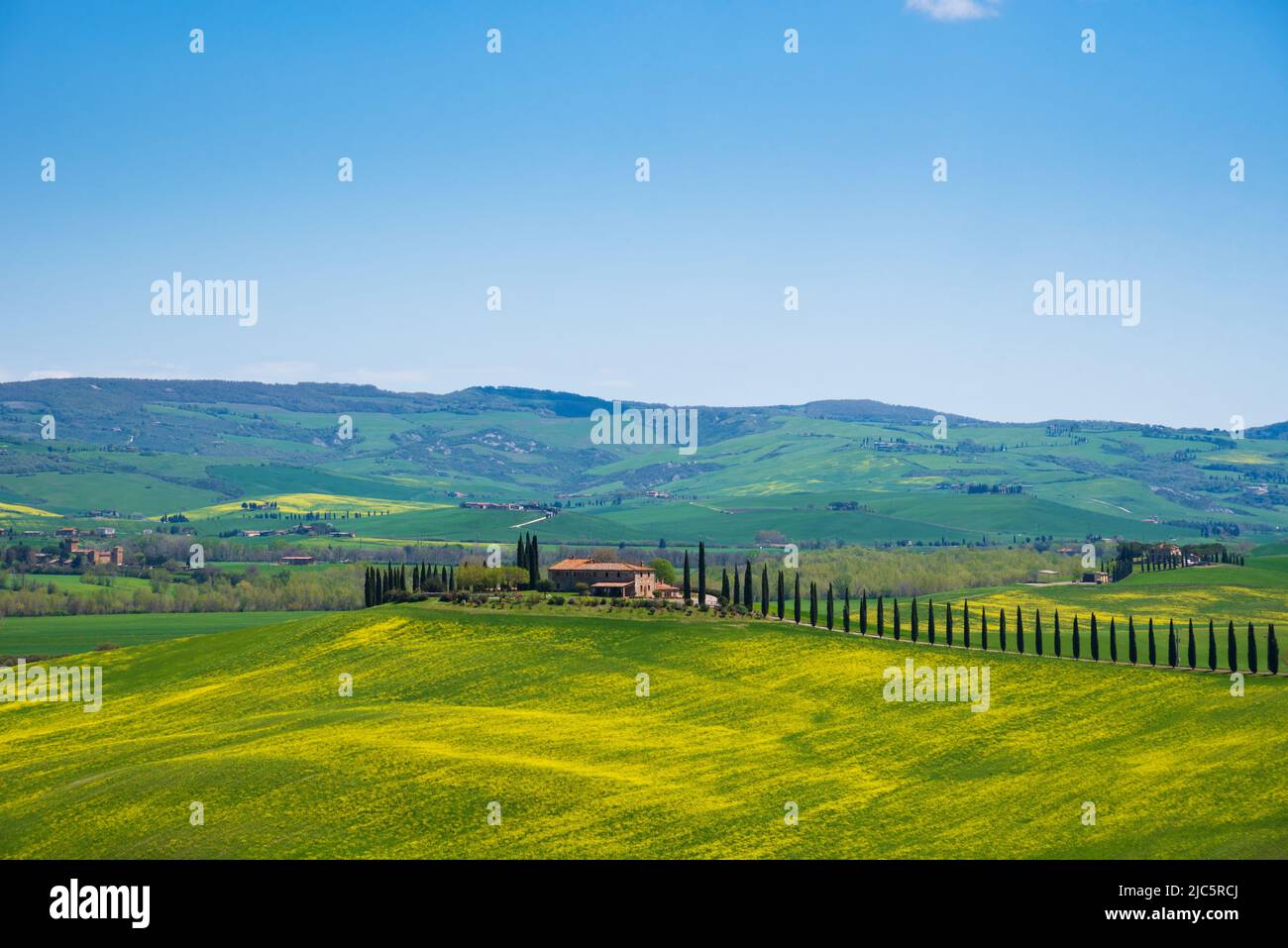 Tuscany, Italy. Val d'Orcia scenic hill landscape panorama with typical farmhouse, cypress trees and blossoming rapeseed flowers in sunny day. Stock Photo