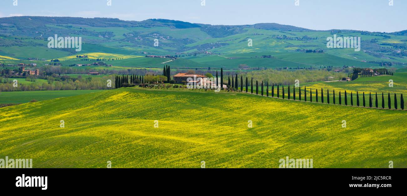 Tuscany, Italy. Val d'Orcia scenic hill landscape panorama with typical ...