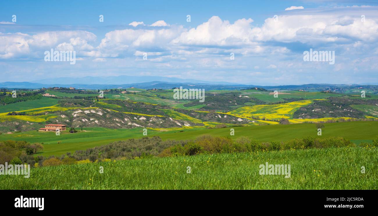 Tuscany, Italy. Val d'Orcia scenic hill landscape panorama with typical farmhouses, cypress trees and blossoming rapeseed flowers.Rural background Stock Photo