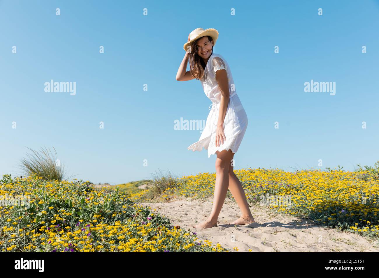 Pretty woman in straw hat and dress looking at camera on beach Stock ...