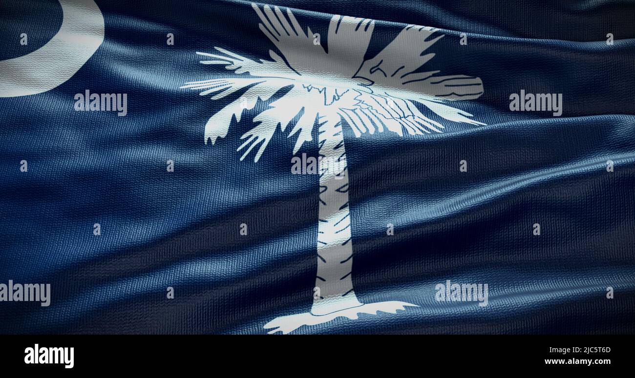 South Carolina state flag background illustration, USA symbol backdrop. Stock Photo