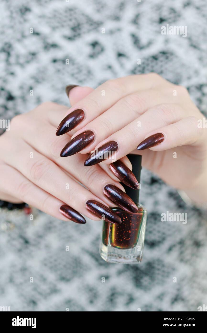 Female hands with long nails and black and red nail polish Stock Photo