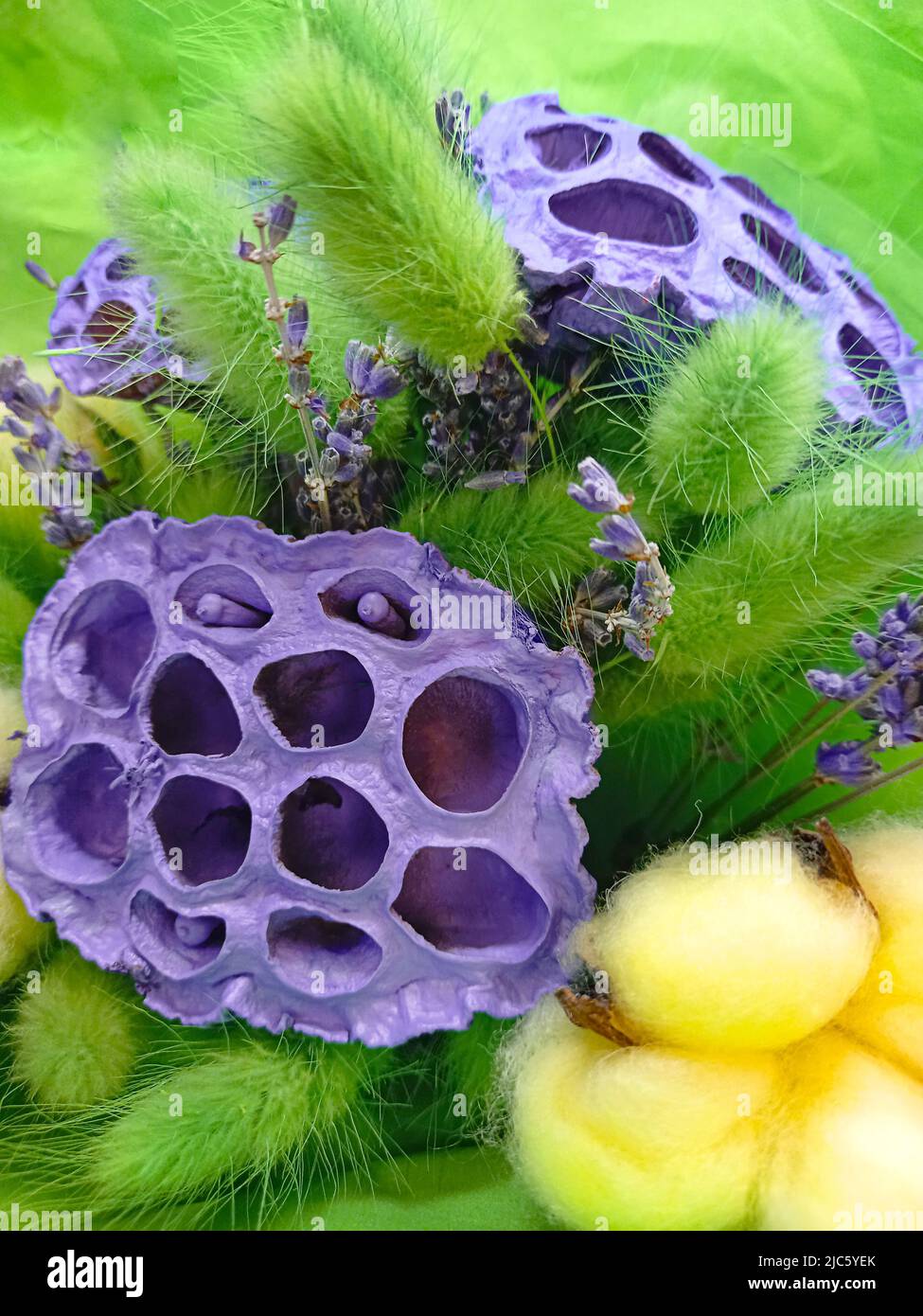 A fantastic bouquet of dried flowers. Lotus seeds. Cotton flowers. Hare tail. Purple light green and yellow. For congratulations. Stock Photo