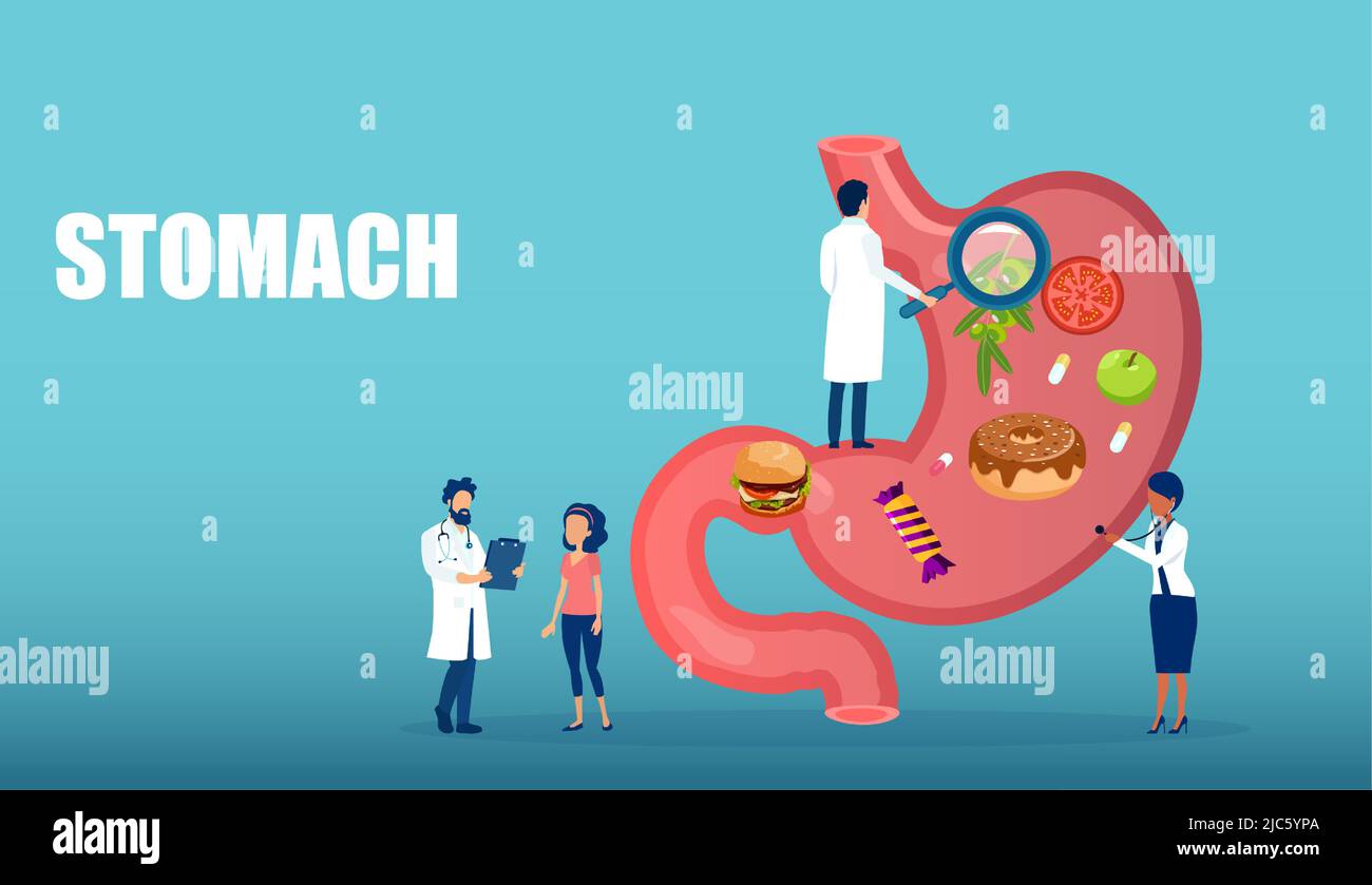 Vector of several doctors examiniting patient nutrition and stomach Stock Vector