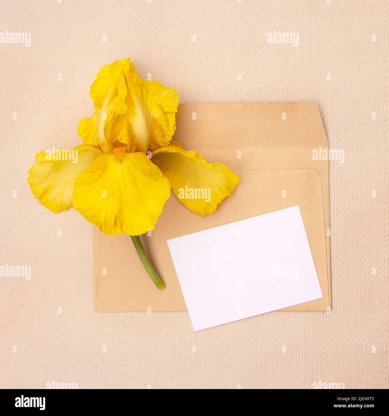 Enveloppe hi-res stock photography and images - Alamy