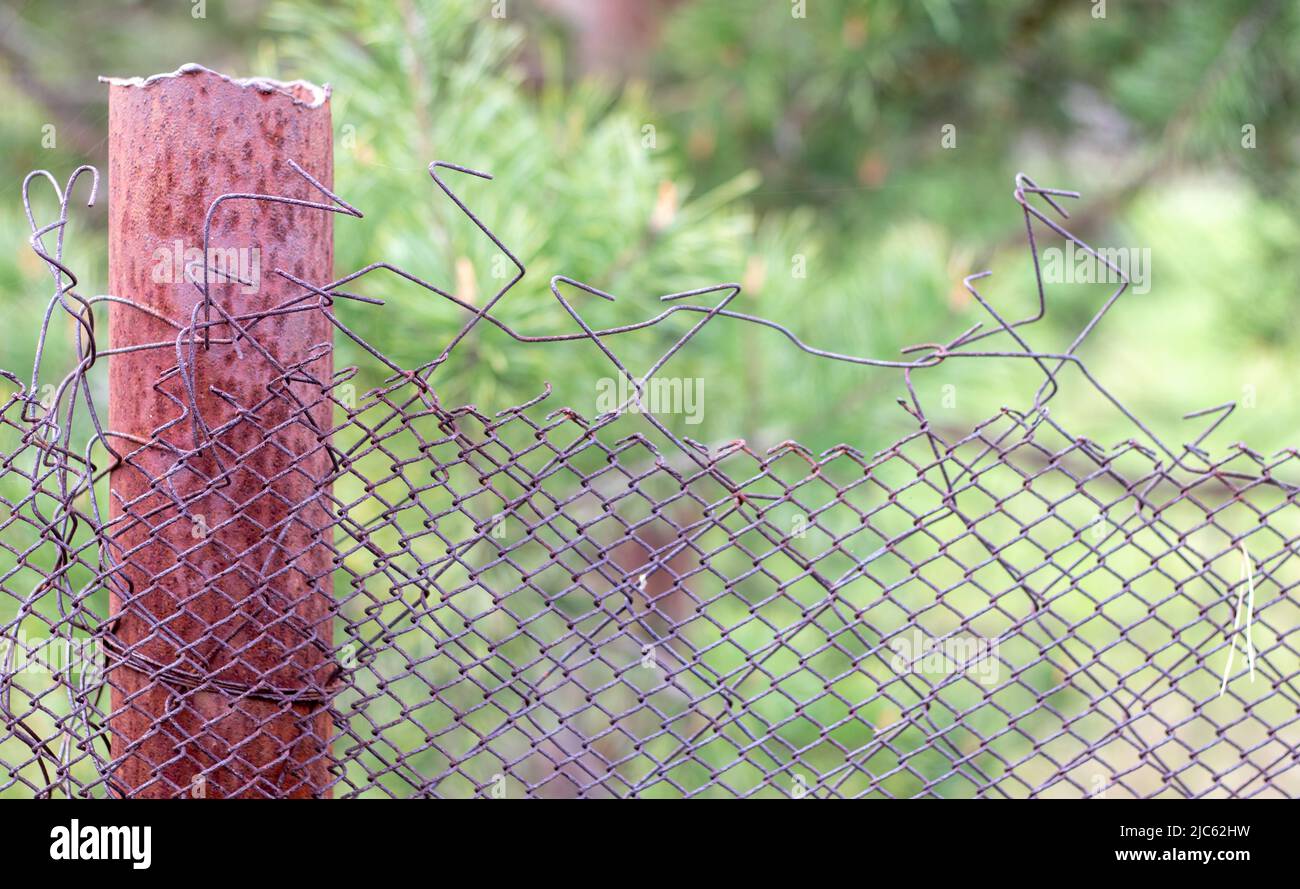 Mesh old ragged cage in the garden and a rusty pole with green grass as a  background. Metal fence with wire mesh. Metal fence made of steel iron mesh  Stock Photo -