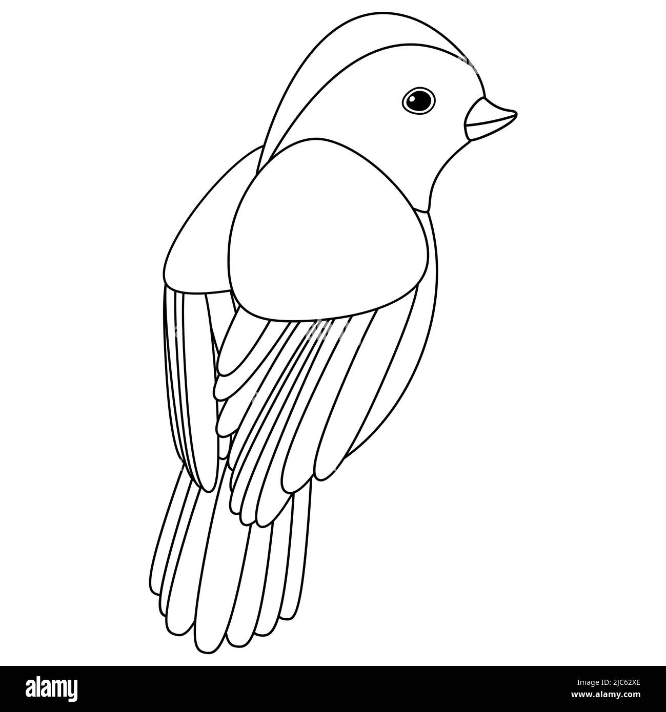 Bird Line Drawing, Swallow, Silhouette, Peafowl, Spring , Logo, Black And  White , Beak, Swallow, Bird, Drawing png | PNGWing