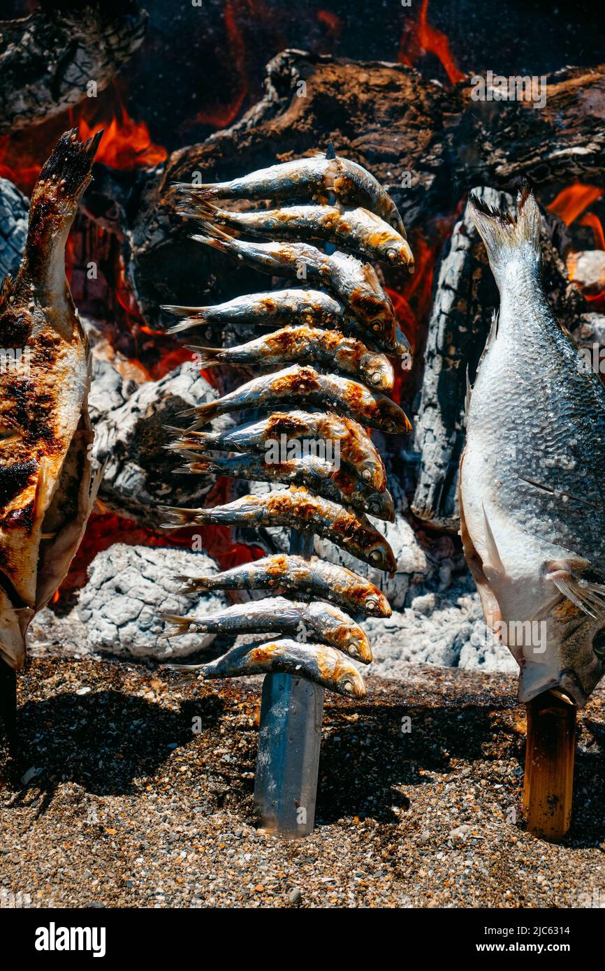 Espetos  Traditional Saltwater Fish Dish From Province of Málaga