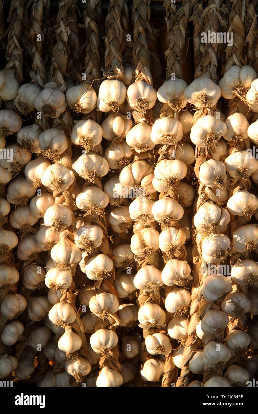 Garlic bulbs for sale at a farmers' market in Romania Stock Photo Alamy