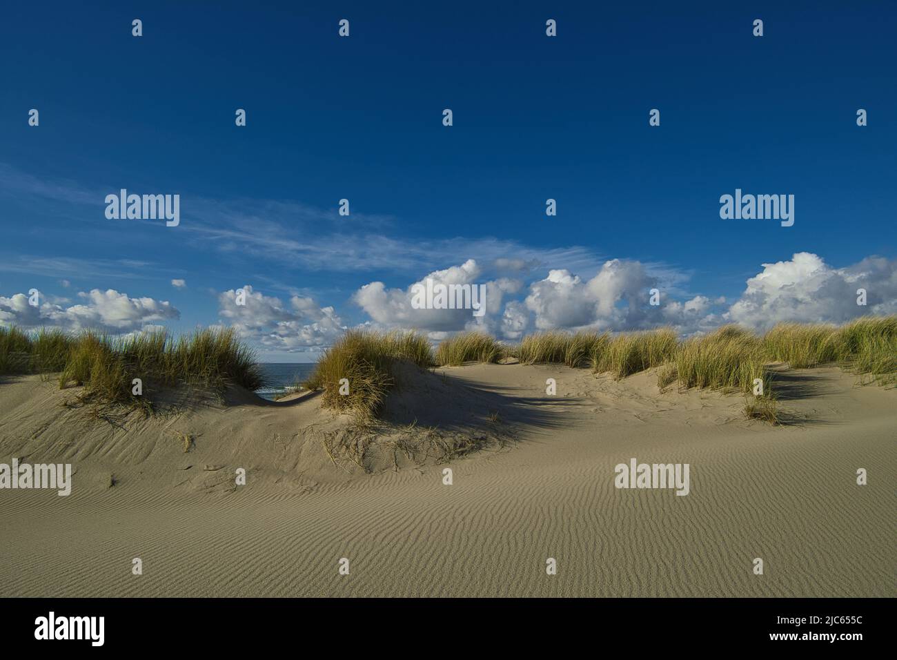 A dune landscape at the North Sea with beautiful clouds in the background Stock Photo