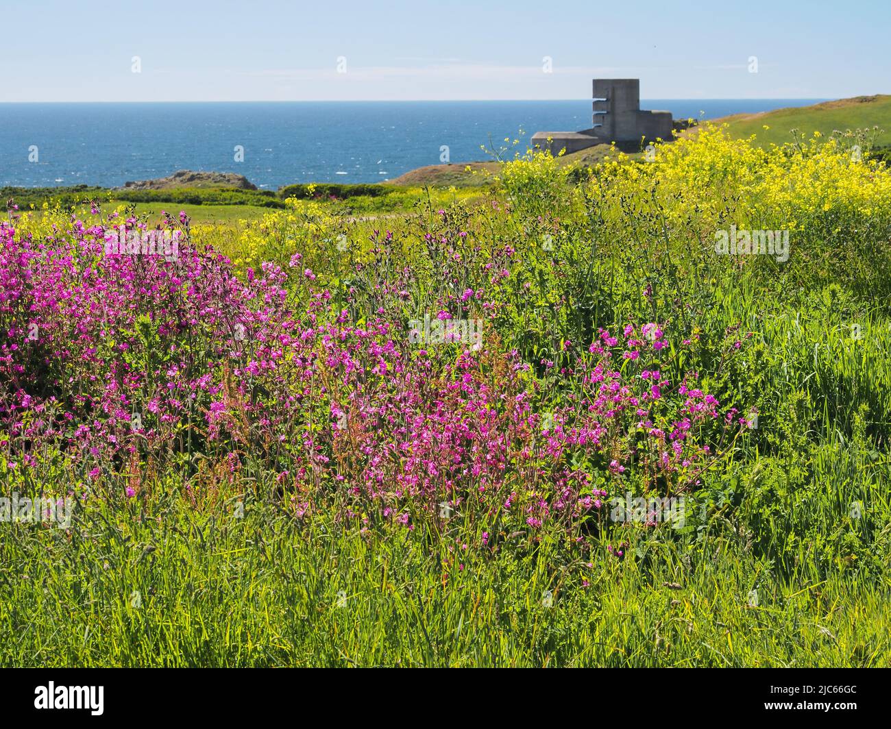 Colourful flowers and Observation Tower MP4 L'Angle, Guernsey, Channel Islands Stock Photo