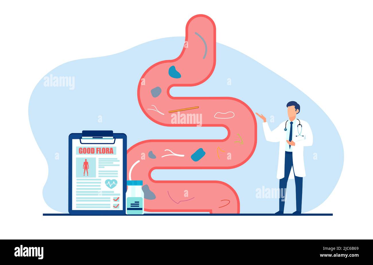Vector of a doctor examining gastrointestinal tract and giving a report of healthy good flora Stock Vector