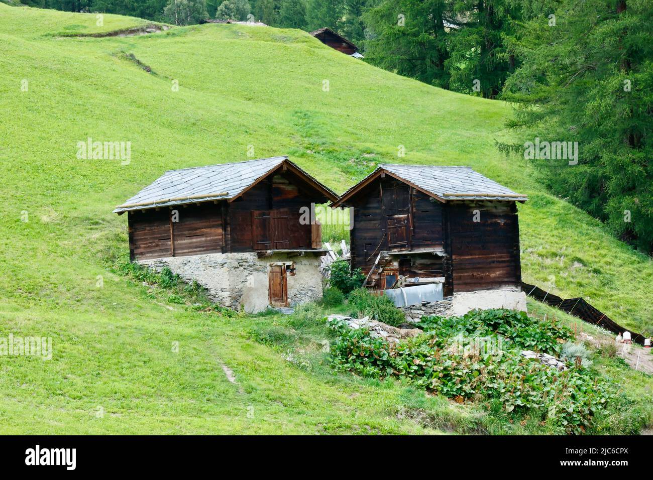 Visiting Swiss grandparents, farm holiday, barn houses in the Swiss Alps Stock Photo
