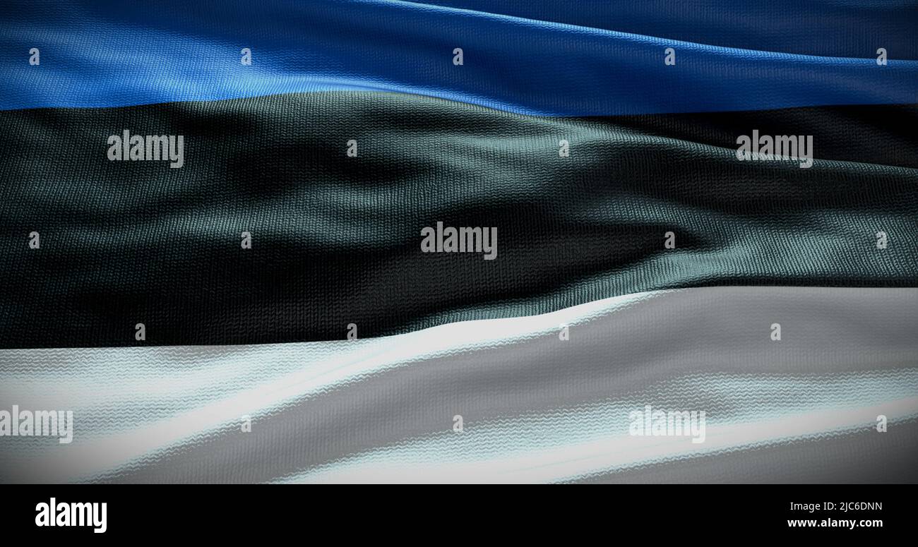 Estonia national flag background illustration. Symbol of country. Stock Photo