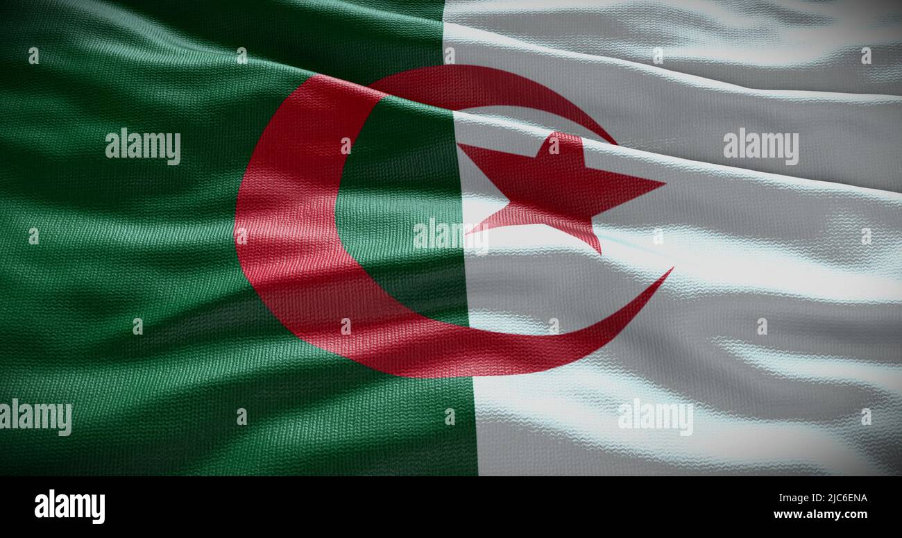 Algeria national flag background illustration. Symbol of country. Stock Photo
