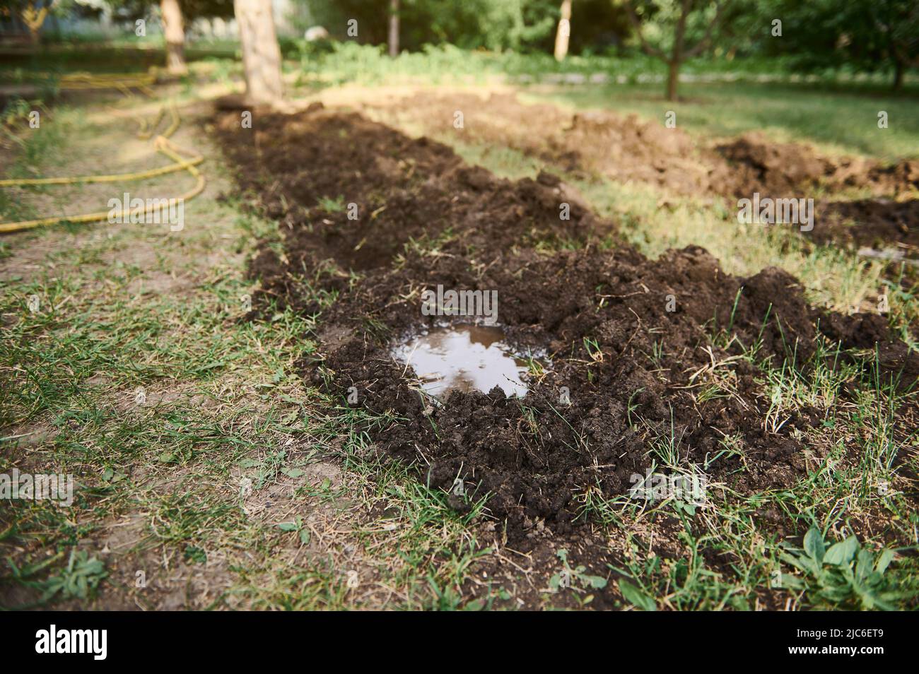 A dirt hole in moist black soil,in digged and loosened ground prepared for planting seedling. Cultivation of organic vegetables in eco farm. Agricultu Stock Photo
