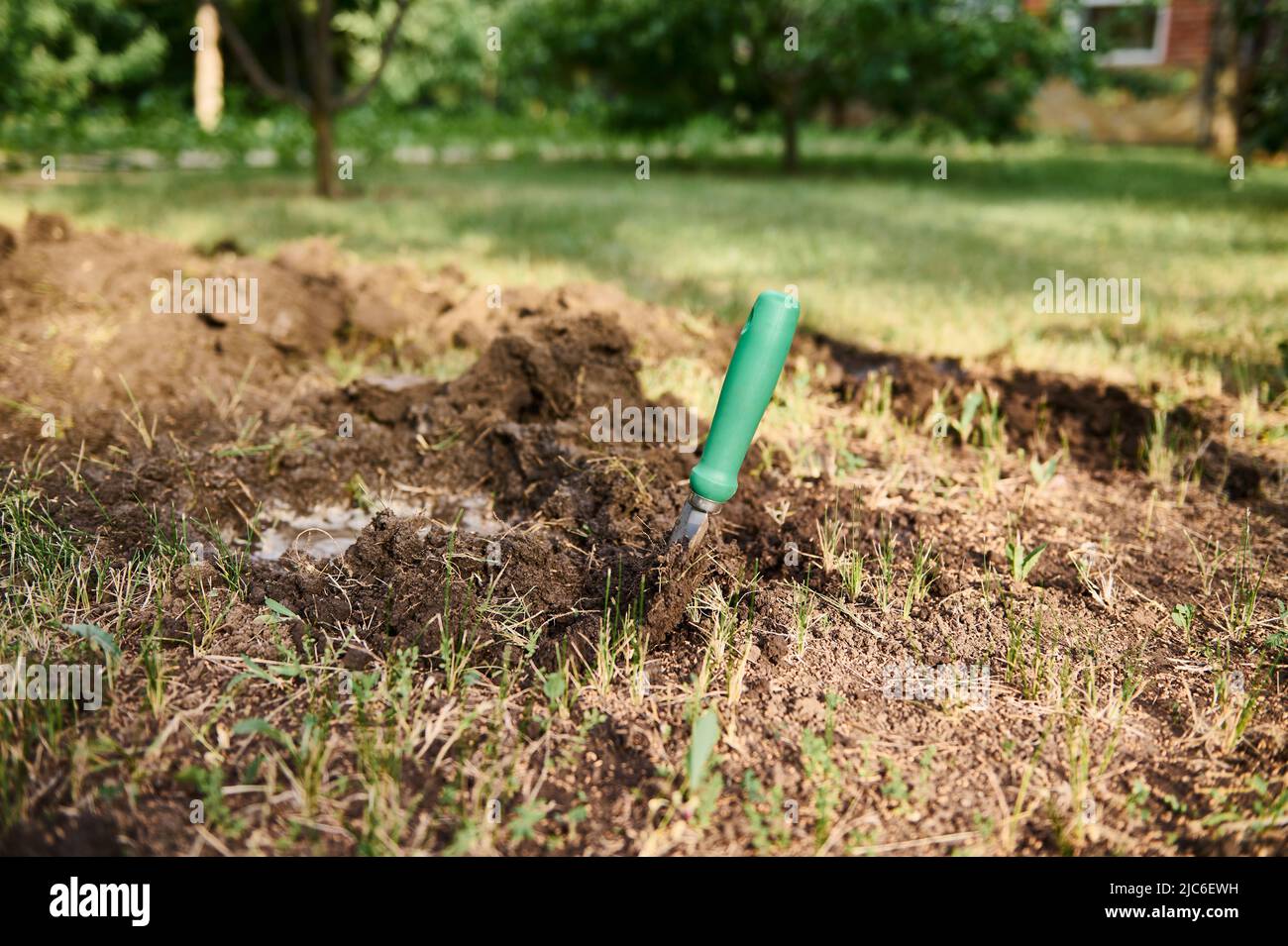 A garden shovel in the loosen ground near a watered hole for planting inside sprouted seedlings for cultivation organic vegetables in eco farms. Horti Stock Photo