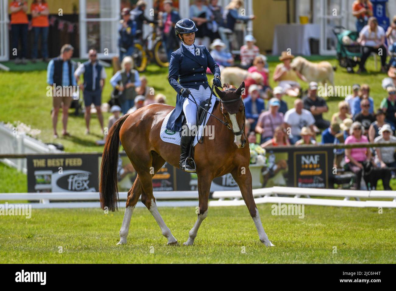 Bramham International Horse Trials, Bramham Park, near Wetherby in West Yorkshire in the UK. 10th June, 2022. Zara Tindall riding CLASS AFFAIR for GBR in the dressage phase of the CCI-L 4* at the Bramham International Horse Trials  Credit:Peter Putnam/Alamy Live News Stock Photo